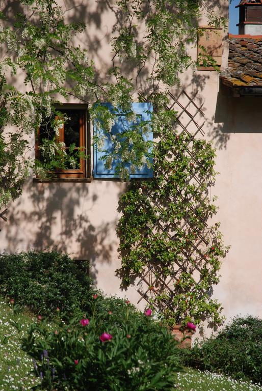 Appartamento Con Patio Privato E Giardino Tra Pisa E Firenze Palaia Exterior photo