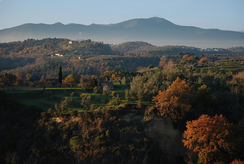 Appartamento Con Patio Privato E Giardino Tra Pisa E Firenze Palaia Exterior photo